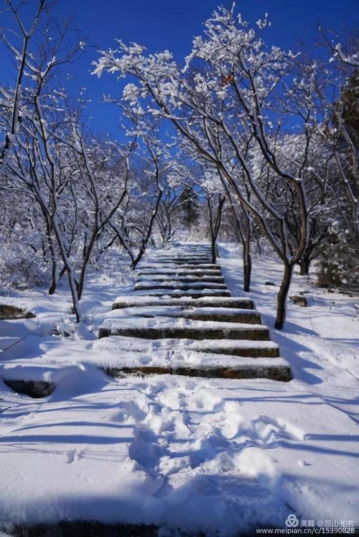 淄博最美赏“雪”季来啦！九龙峪仙气满满，暗香浮动~周末约起？