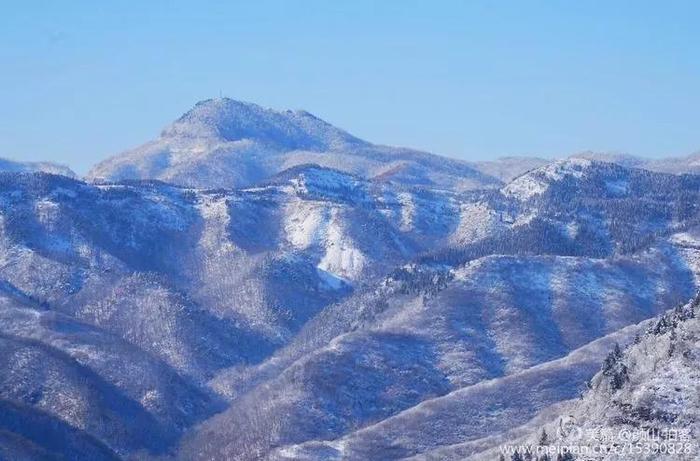 淄博最美赏“雪”季来啦！九龙峪仙气满满，暗香浮动~周末约起？