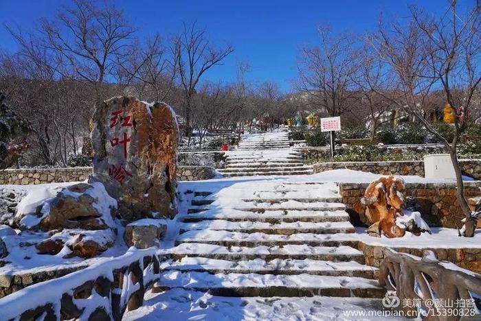 淄博最美赏“雪”季来啦！九龙峪仙气满满，暗香浮动~周末约起？