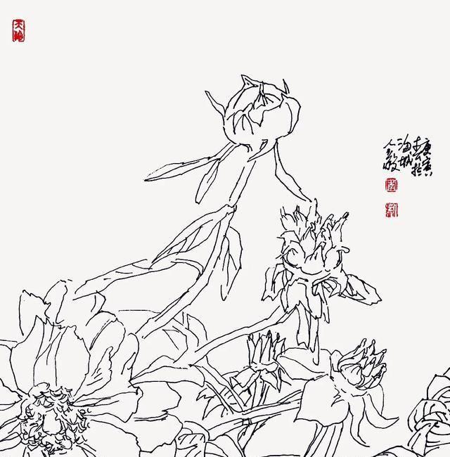 中国画临写技法——写意牡丹的临摹与写生