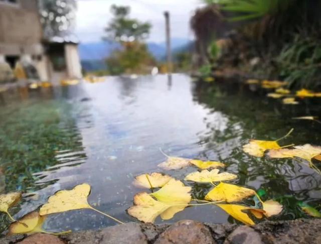 黄山这座徽派建筑风格的民宿，南京姑娘把民宿开在了云上丨花云境