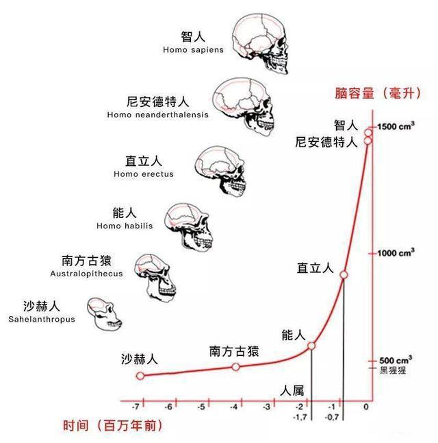 人类的祖先是同一波人吗？全世界有那么多人种，他们去哪里了？