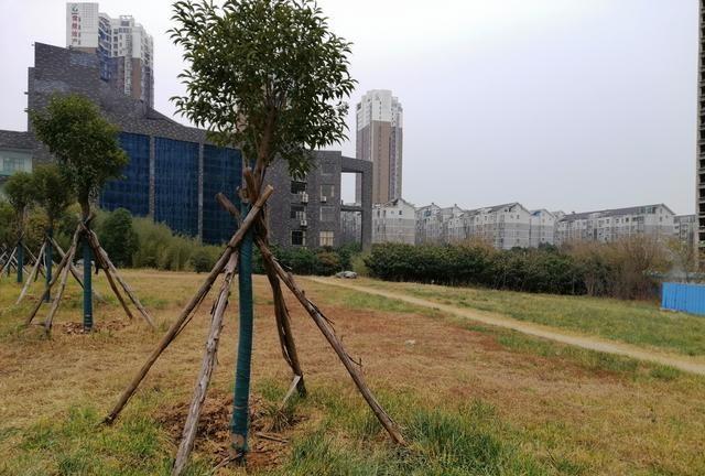 平顶山学院二本的院校，一本的风景，这些地方在校生都不知道！