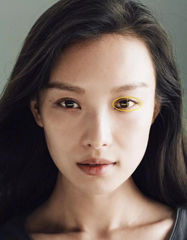 中国人常见几种眼型，瑞凤眼有气质，桃花眼公认最漂亮