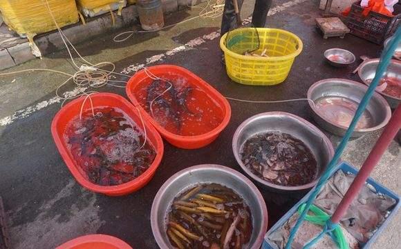 年关将至，农村大集上卖鱼的，为啥都使用黑色塑料袋？猫腻在里面
