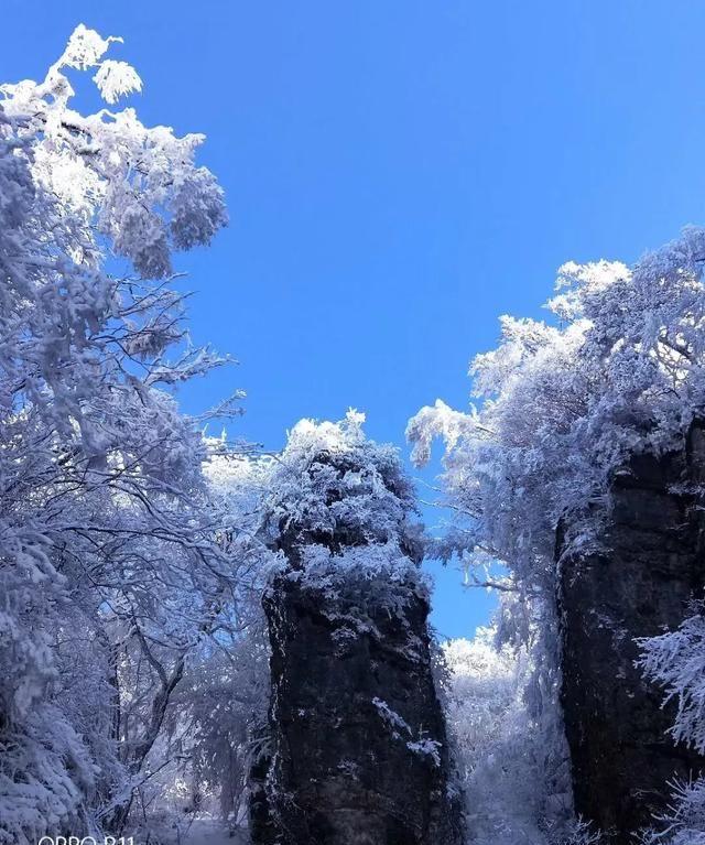 讲述｜龙头山下的百姓人家