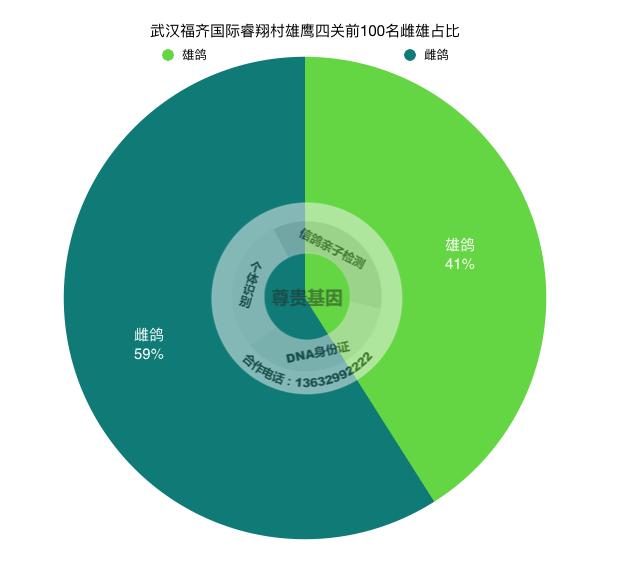 四关综合前10名80%雌鸽！职业联赛雌更胜一筹？