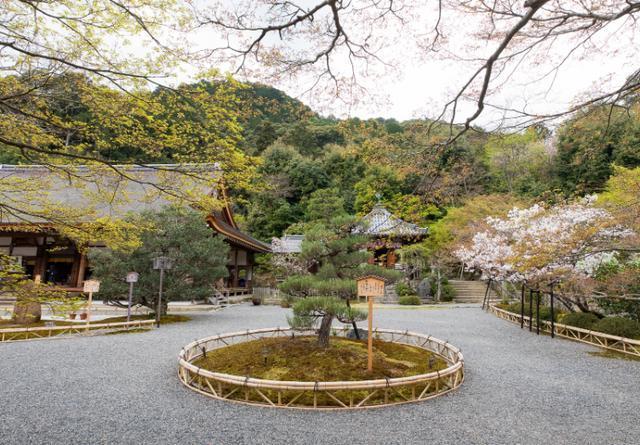 日本最小众的寺院，号称“红叶的马场”，景色绝美游人少