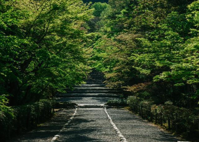 日本最小众的寺院，号称“红叶的马场”，景色绝美游人少