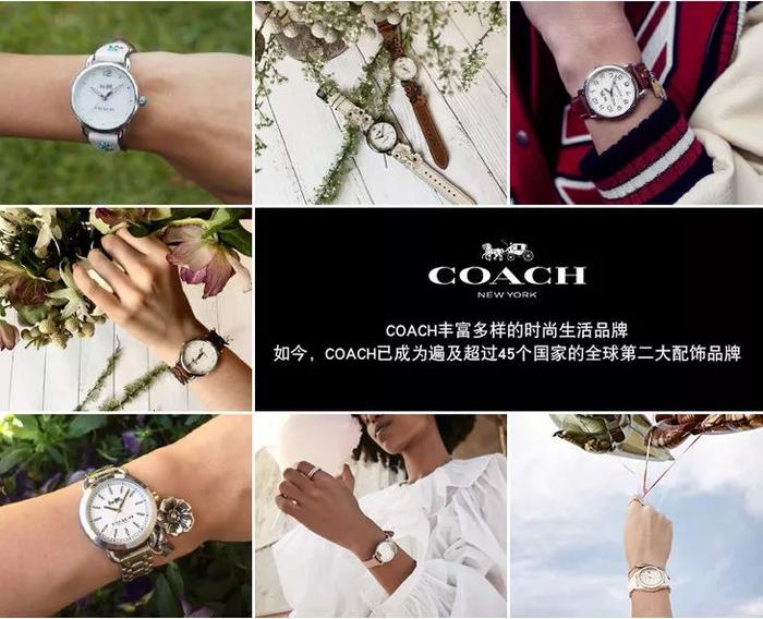 COACH新年限定腕表！美到窒息，没有女生能拒绝