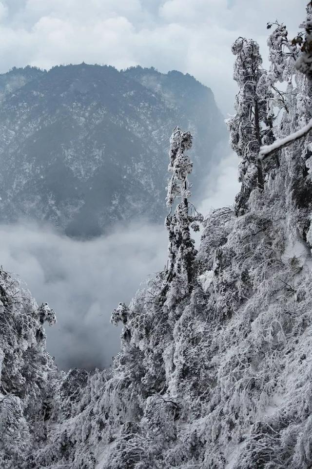 一下雪，这座山就美成了人间仙境