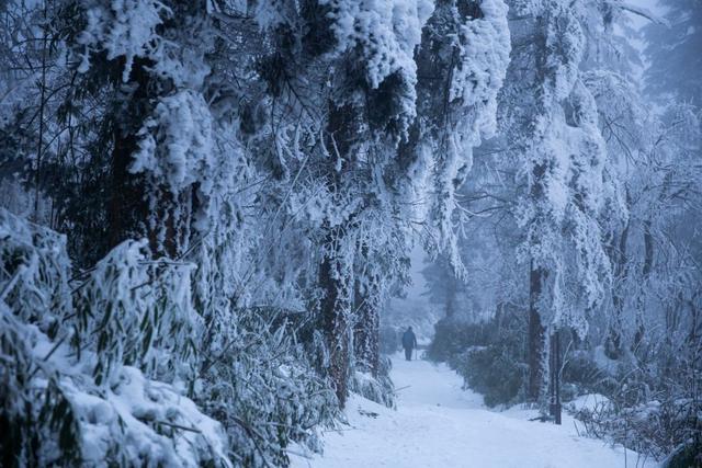 一下雪，这座山就美成了人间仙境