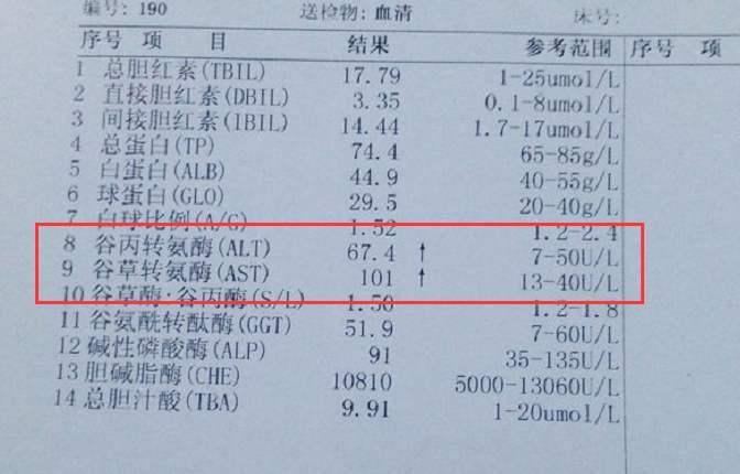 预防乙肝反弹，尽量不饮酒和监测病毒标志物，愉快轻松过小年