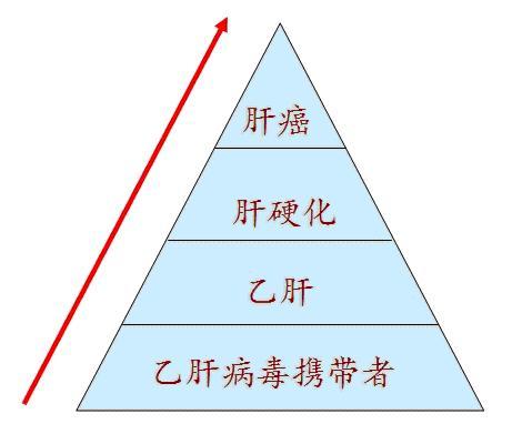 慢性乙肝携带状态，皮肤或眼睛巩膜发黄，辅助早期检出肝病