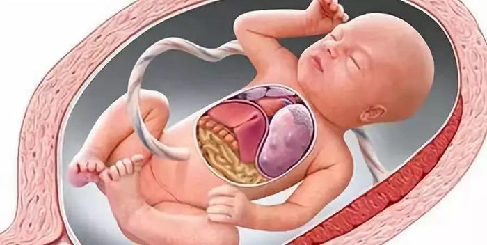 当胎儿缺氧时，准妈妈也会 有所反应