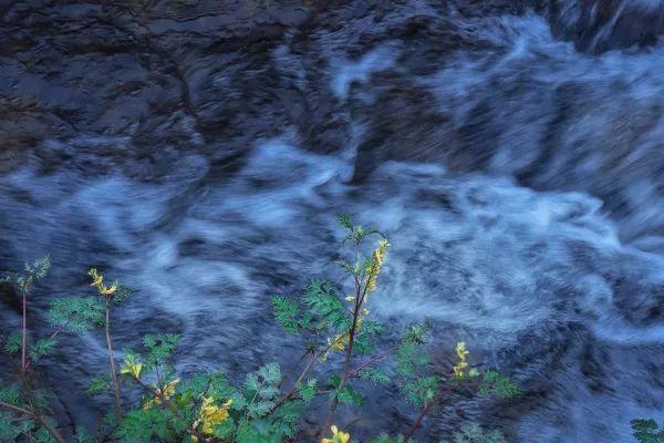 千岛湖这座有一万颗星星的玻璃屋民宿，做几日山野居民丨花墅集