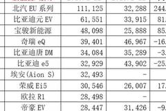 一片质疑之中，它们已经是最拿得出手的了——2019年新能源车前十