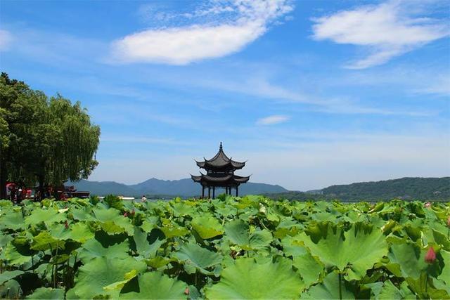 一定要去！国内最适合带父母一起去旅行的胜地