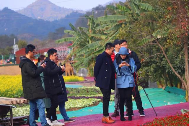 赣闽粤媒体走进寻乌青龙岩旅游度假区，探寻灵石温泉的独特魅力