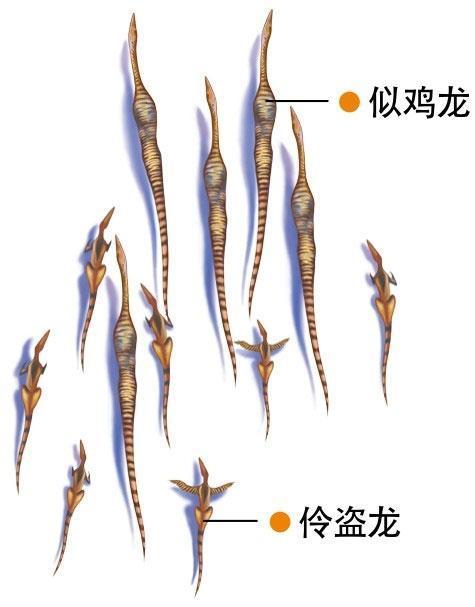 穿越到恐龙时代的你，该如何驯养恐龙——恐龙驯养指南