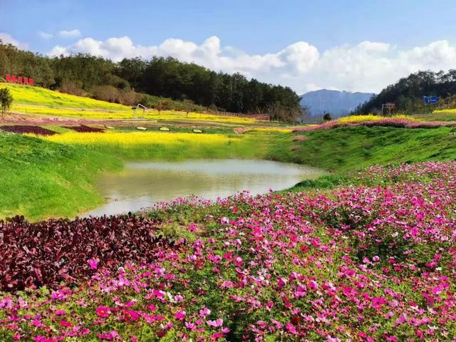 赣闽粤媒体走进寻乌青龙岩旅游度假区，探寻灵石温泉的独特魅力