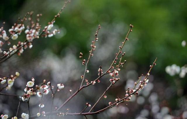 雨中跨年！金华的雨还不小 最快初三天气才有好转