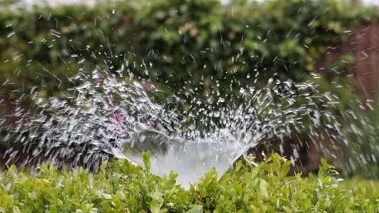 未来价值可期！农业节水迎来大爆发