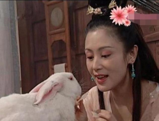 原来刘亦菲才是“嫦娥”最佳人选，她手捧玉兔，比小龙女还要仙气