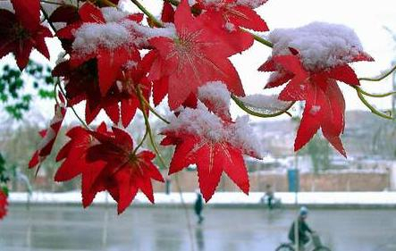 走进喀什的时光里，赴一场，与世隔绝的冬季约会