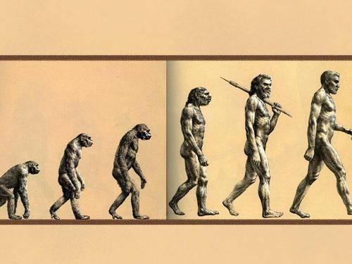 人类真的是由猿演化的吗？为什么现在的猿没有演化成人？