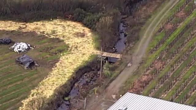 美红酒厂阀门没关好，37万升红酒流进河流，河水尝起来都是红酒味