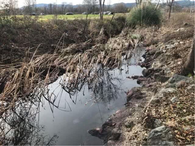 美红酒厂阀门没关好，37万升红酒流进河流，河水尝起来都是红酒味