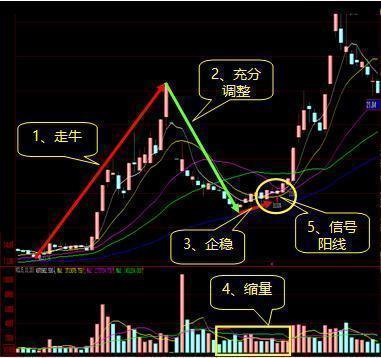 为什么一支股票会一直下跌，难道庄家亏损也要卖吗？看完大彻大悟