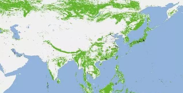 美国发布卫星地图，澳洲森林大量减少，中国却在上演奇迹