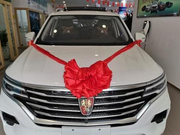 狠心花21万荣威RX5MAX新能源，用车4600公里