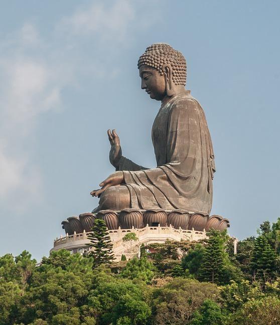 莲花猜想：不愧是植物界的气功师