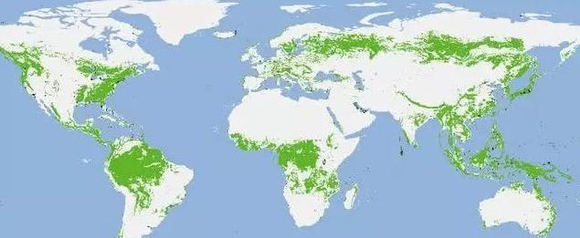 美国发布卫星地图，澳洲森林大量减少，中国却在上演奇迹