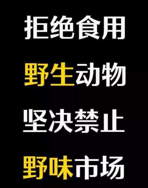 一篇科普知识：野味其实没营养也不好吃 不要害人害己