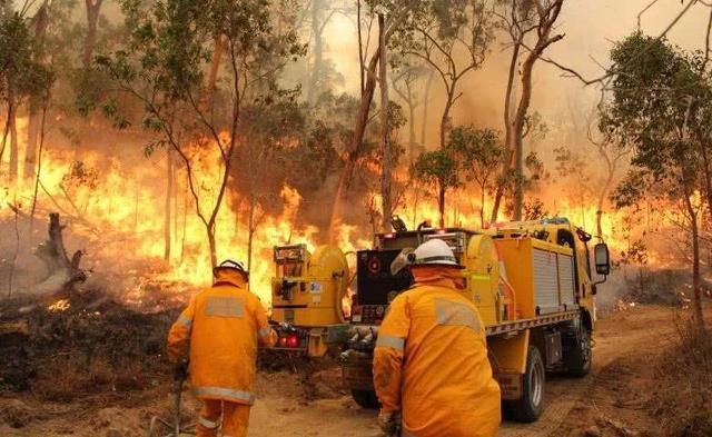 美国消防员援助澳洲扑火，如今暴雨来袭，却传来坏消息