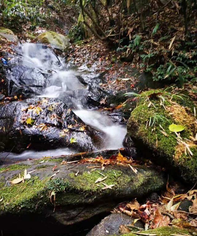 南岳民宿预订.衡山房-湖南南岳衡山烧香拜佛不可错过的山居民宿