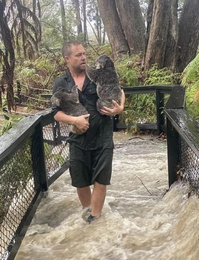 美国消防员援助澳洲扑火，如今暴雨来袭，却传来坏消息