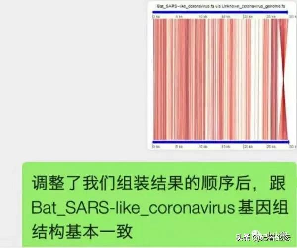 记录一下首次发现新型冠状病毒的经历