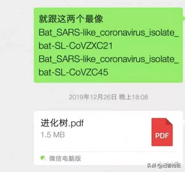 记录一下首次发现新型冠状病毒的经历