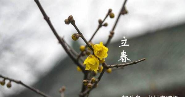 明日立春，关于立春的俗语也是重要的天气预测，你知道几个呢？