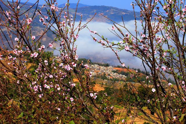 红河人“私藏”的一块宝地，依山傍水甲寅乡梯田，云山雾绕似仙境