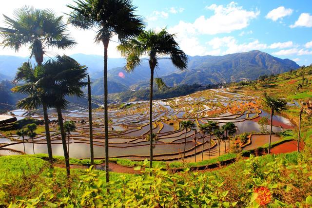 红河人“私藏”的一块宝地，依山傍水甲寅乡梯田，云山雾绕似仙境