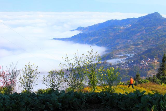 红河人“私藏”的一块宝地，依山傍水甲寅乡梯田，云山雾绕似仙境