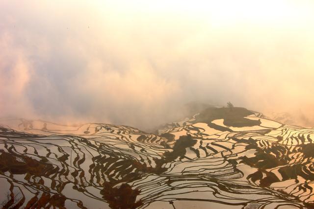 红河人“私藏”的一块宝地，依山傍水甲寅乡梯田，云山雾绕似仙境