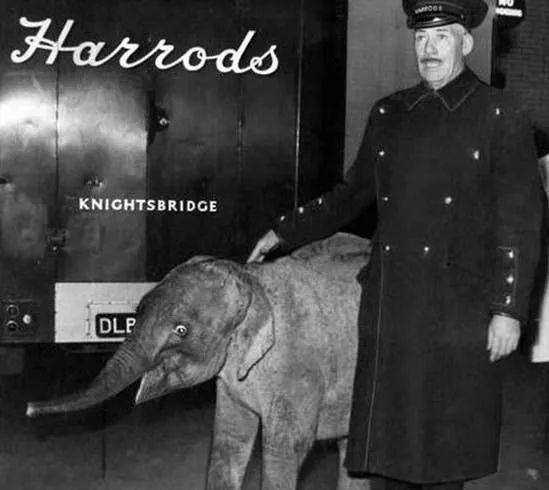 重磅！英国顶奢百货公司『Harrods』首家海外旗舰店今年入驻上海！