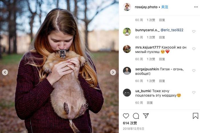 △Instagram上处处充斥着这种致命示范/ins截图